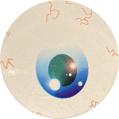 Chupa Caps | 42 Chupa Caps | 42