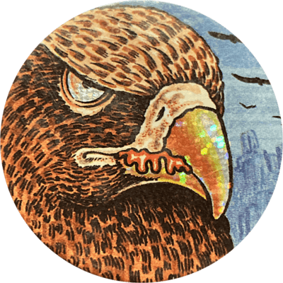 Chupa Caps – Animal Series | 10 - Eagle Chupa Caps – Animal Series | 10 - Eagle
