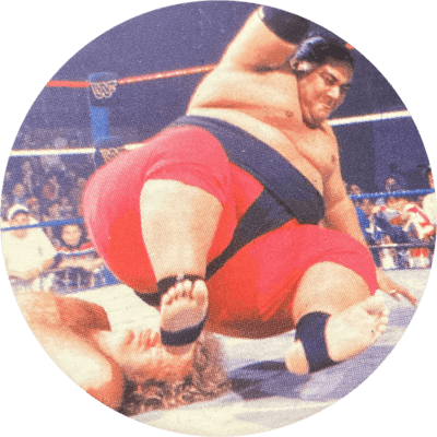 Panini Caps – World Wrestling Federation | 17 Panini Caps – World Wrestling Federation | 17