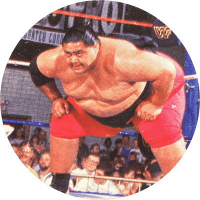 Panini Caps – World Wrestling Federation | 18 Panini Caps – World Wrestling Federation | 18