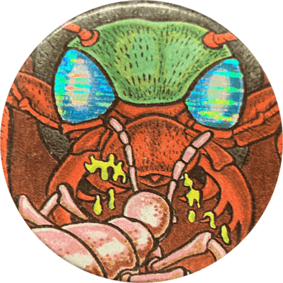 Chupa Caps – Animal Series | 9 - Wasp Chupa Caps – Animal Series | 9 - Wasp